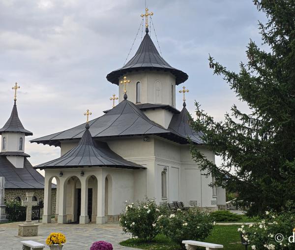 Mănăstirea Trotușanu