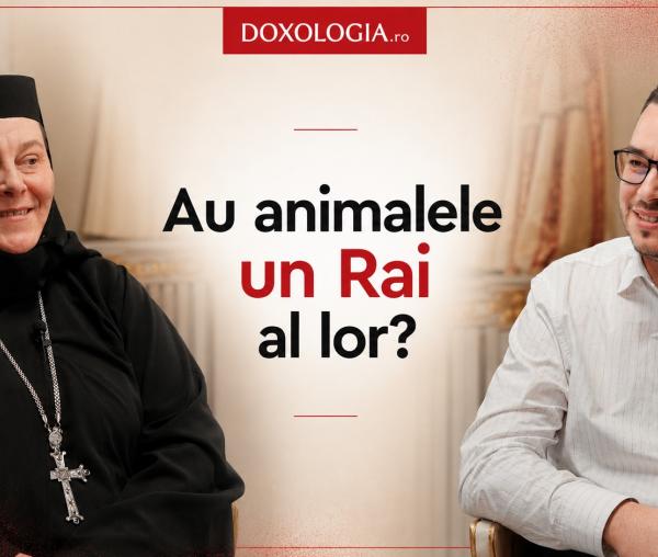 În dialog cu M. Doroteea, stareța-chirurg