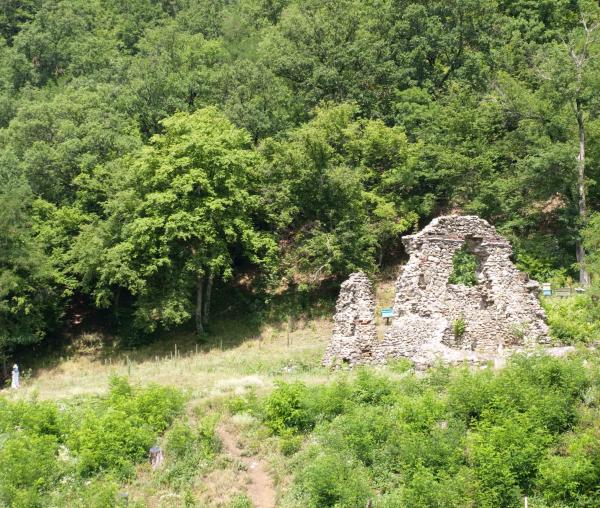 Ruinele Mănăstirii Vodița