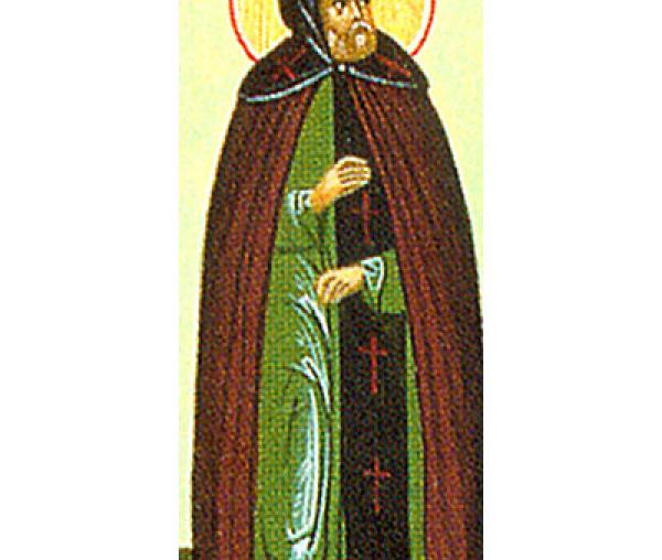 Sfântul Cuvios Visarion
