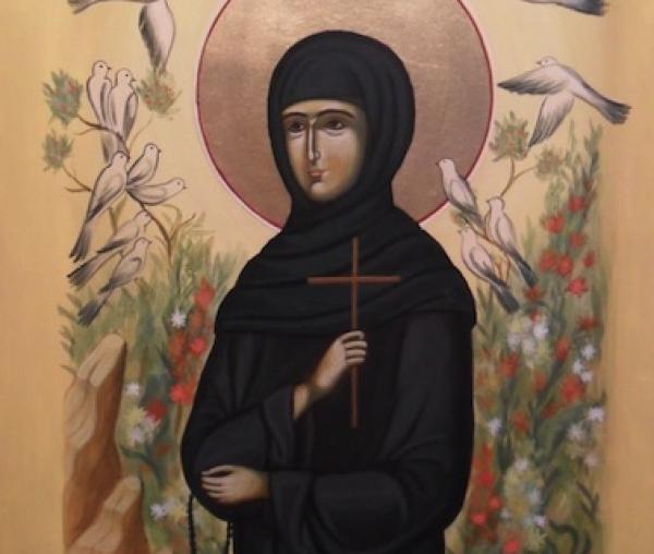 Sfânta Cuvioasă Teodora de la Sihla
