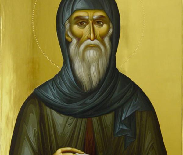 Sfântul Cuvios Antonie cel Nou de la Veria
