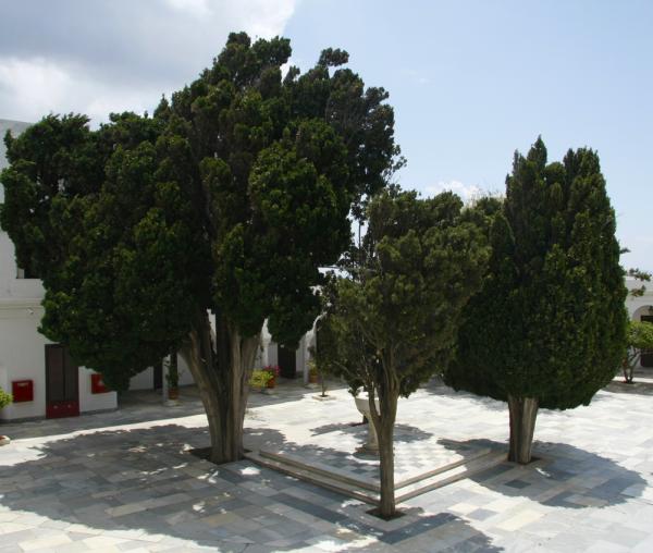 Biserica “Panaghia Evanghelistria" din Tinos - Grecia