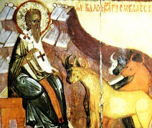 Sfântul Ierarh Vlasie, Episcopul Sevastiei