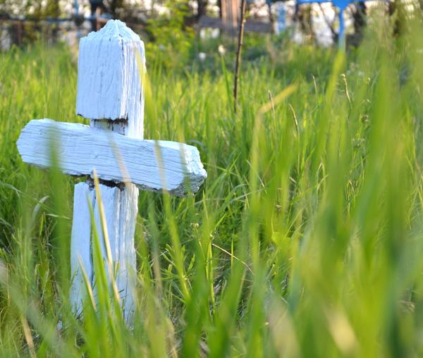 Crucile unui cimitir de țară
