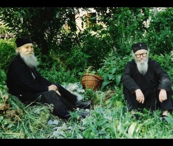 Starețul Tadei de la Mănăstirea Vitovnița