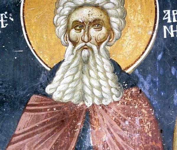 Sfântul Cuvios Arsenie cel Mare