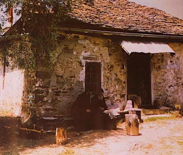 Cuviosul Paisie Aghioritul (Galerie Foto)