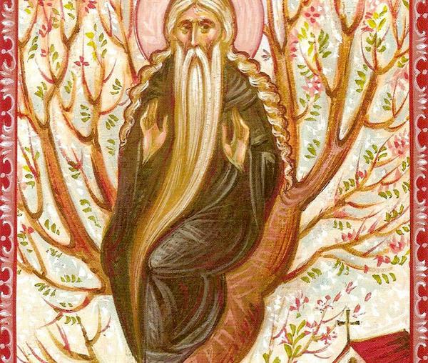 Sfântul Cuvios David din Tesalonic