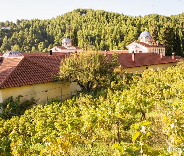 Mănăstirea Cuviosului David din insula Evia