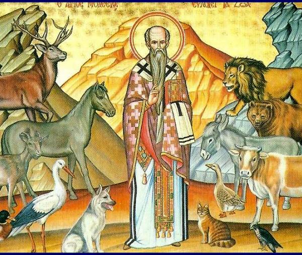 Sfântul Ierarh Modest, Patriarhul Ierusalimului