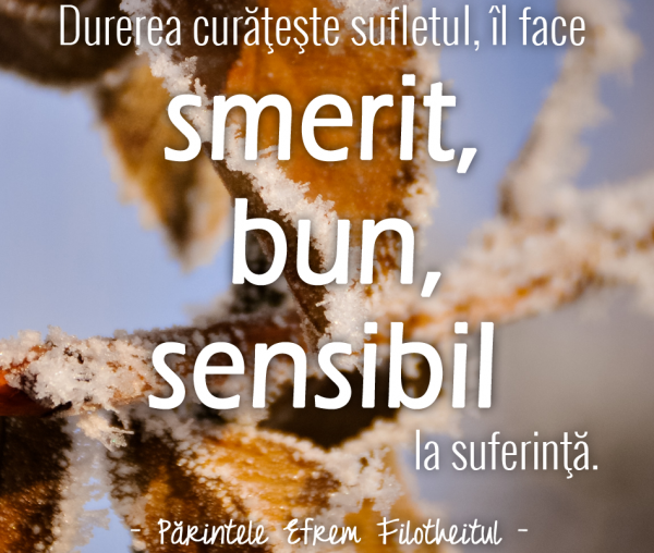 Durerea curățește sufletul