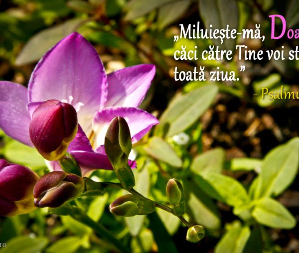 Miluieşte-mă, Doamne!