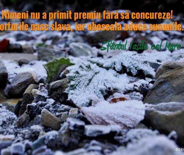 Nimeni nu a primit premiu fără să concureze!