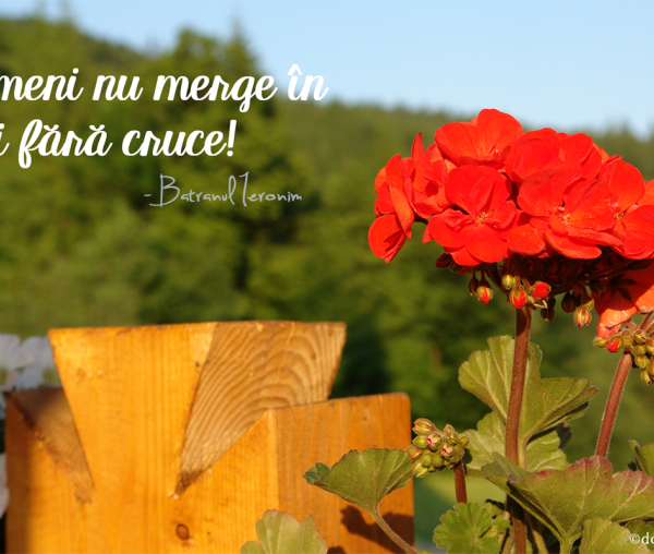 Nimeni nu merge în Rai fără cruce!