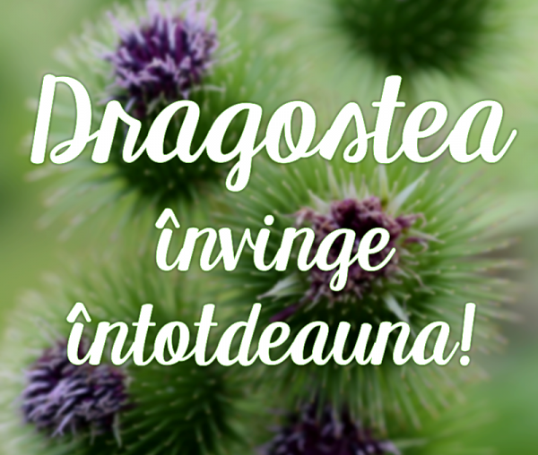 Dragostea învinge întotdeauna