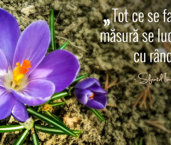 Tot ce se face cu măsură se lucrează cu rânduială