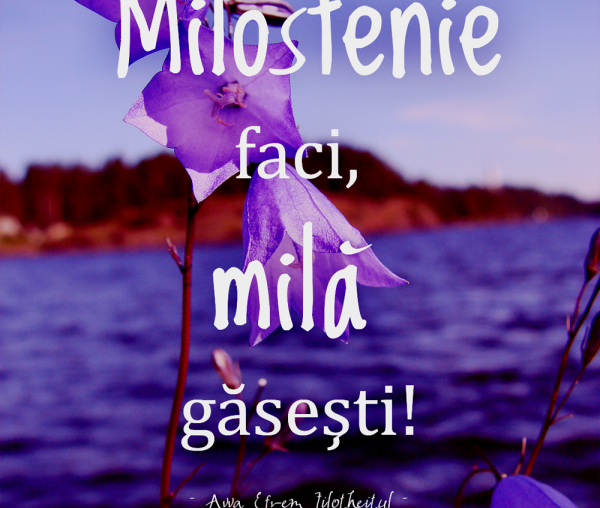 Milostenie faci, milă găsești