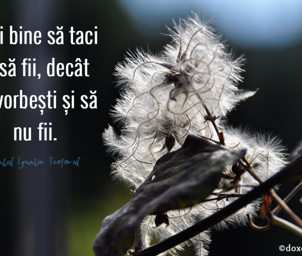 Mai bine să taci și să fii, decât să vorbești și să nu fii