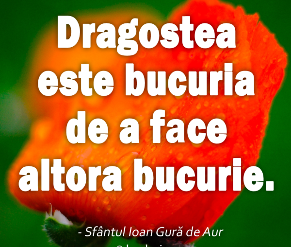 Dragostea este bucuria de a face altora bucurie