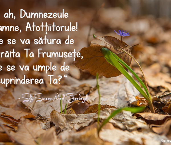 Doamne, cine se va sătura de negrăita Ta Frumusețe?