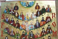 Viața Sfântului Ierarh Nichita Mărturisitorul, Episcopul Apoloniadei