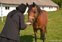 maică interacționând cu un cal