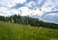 Înrudirea omului cu Cerul și pământul