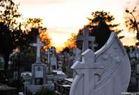 cruci din cimitir