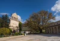 Clopotniţa mănăstirii, biserica veche şi unul din platanii sădiţi de Sfântul Gherasim