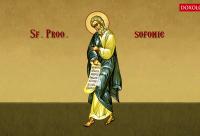 Troparul Sfântului Proroc Sofonie