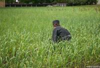 călugăr lucrând în grădină