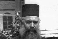 Părintele Dometie Trihenea