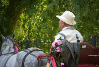 bărbat în trăsură