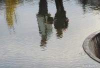 reflexie în apă