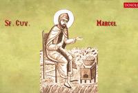 Troparul Sfântului Cuvios Marcel