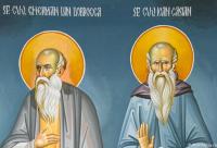 Sfântul Cuvios Gherman din Dobrogea și Sfântul Ioan Casian