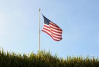 steagul Statelor Unite ale Americii