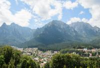 munți