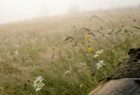 Când calomniezi, mai ales persoane sfințite, poți deschide poarta sufletului pentru diavol