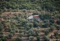 Kathisma „Sfântul Nicolae Hrisokamari” – Xenofont, Athos