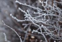 Voiți voi oare să vedeți frumusețea hainei iernii în toată măreția ei?