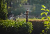 Din iubire, Dumnezeu ne-a oferit darul suprem: libertatea alegerii