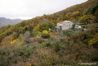Chilia „Adormirea Maicii Domnului” Kastania – Provata, Athos
