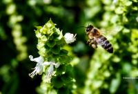 Scandalurile sunt tulburări pentru suflet