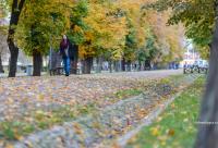 tânără în parc