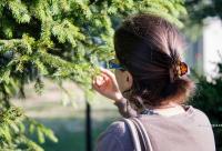 femeie privind ramuri de brad