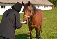 Din țipăt se hrănește mânia