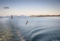 Domnul și lumina (Matei 6, 22-23)