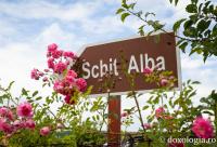 Schitul Alba
